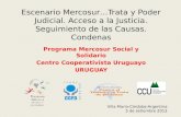 Escenario Mercosur…Trata y Poder Judicial. Acceso a la Justicia. Seguimiento de las Causas. Condenas Programa Mercosur Social y Solidario Centro Cooperativista.