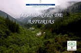 Dirección Xeneral de política Forestal LOS MONTES DE ASTURIAS.
