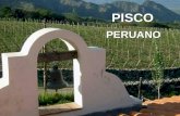 PISCO PERUANO PISCO PERUANO Desde el siglo XVI en los valles de la costa peruana Desde el siglo XVI en los valles de la costa peruana se elabora el pisco.