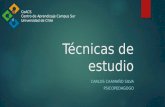 Técnicas de estudio CARLOS CAAMAÑO SILVA PSICOPEDAGOGO CeACS Centro de Aprendizaje Campus Sur Universidad de Chile.