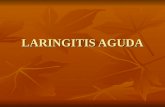 LARINGITIS AGUDA. La laringitis es una infección respiratoria aguda que cursa con inflamación de la laringe, con inicio típicamente por la noche. La.