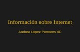 Información sobre Internet Andrea López Pomares 4C.
