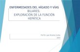 ENFERMEDADES DEL HÍGADO Y VÍAS BILIARES: EXPLORACIÓN DE LA FUNCIÓN HEPÁTICA Prof Dr. Juan Ricardo Cortés 2015 Prof Dr. Juan Ricardo Cortés 2015.
