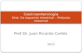 Prof Dr. Juan Ricardo Cortés 2015 Gastroenterología Sínd. De Isquemia Intestinal – Poliposis Intestinal.