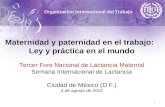Organización Internacional del Trabajo Maternidad y paternidad en el trabajo: Ley y práctica en el mundo Tercer Foro Nacional de Lactancia Maternal Semana.