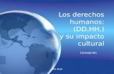 CRS 2010 Los derechos humanos: (DD.HH.) y su impacto cultural Concepción.