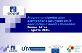 Programas vigentes para acompañar a las Pymes en la adecuación a nuevas demandas Buenos Aires - agosto 2011-