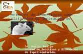 Animales de laboratorio como plataforma de generación de conocimiento. Dr. Martín Breijo Unidad de Reactivos y Biomodelos de Experimentación.
