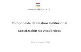 Componente de Gestión Institucional Socialización No Académicos Osorno, 6 agosto 2013.