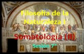 Filosofía de la Naturaleza I Somatología (II) Sesión 7ª.