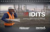 El IDITS es un ámbito de complementación estratégica entre la industria y sus proveedores, entidades gremiales empresariales, Gobierno de Mendoza, instituciones.