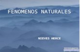 FENOMENOS NATURALES por CASA FENOMENOS NATURALES NIEVES HERCE.