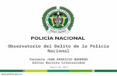 Teniente JUAN APARICIO BARRERA Editor Revista Criminalidad Abril de 2013 Observatorio del Delito de la Policía Nacional.
