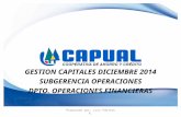 GESTION CAPITALES DICIEMBRE 2014 SUBGERENCIA OPERACIONES DPTO. OPERACIONES FINANCIERAS Preparado por: Luis Poblete R.