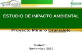ESTUDIO DE IMPACTO AMBIENTAL Proyecto Minero Gramalote Medellín, Noviembre 2012.