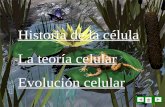 Historia de la célula Historia de la célula La teoría celular La teoría celular Evolución celular Evolución celular.