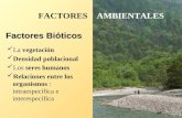 La vegetación Densidad poblacional Los seres humanos Relaciones entre los organismos : intraespecífica e interespecífica Factores Bióticos FACTORES AMBIENTALES.