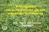 22/09/2015 1 Características de las principales especies forrajeras Principales características de las especies forrajeras Dra. María del Carmen Ferragine.