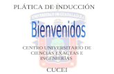 PLÁTICA DE INDUCCIÓN CENTRO UNIVERSITARIO DE CIENCIAS EXACTAS E INGENIERÍAS CUCEI.