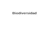 Biodiversidad. ¿Qué es la biodiversidad? Es el resultado de un proceso evolutivo a lo largo de la historia que ha originado una gran gama de seres vivos.