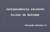 Jurisprudencia reciente Acción de Nulidad Ricardo Reveco U.