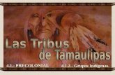 4.1.- PRECOLONIAL 4.1.2.- Grupos Indígenas.. En los tiempos de la Conquista Española, vivían o vagaban en el territorio del hoy Estado de Tamaulipas,
