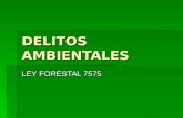 DELITOS AMBIENTALES LEY FORESTAL 7575. DELITOS  Invada Área de conservación o protección  Aprovechamiento Forestal (Tala)  Incendio Forestal Doloso.