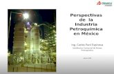 Perspectivas de la Industria Petroquímica en México Ing. Carlos Pani Espinosa Subdirector Comercial de Pemex Petroquímica Agosto 2008.