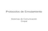 Protocolos de Enrutamiento Sistemas de Comunicación Grupal.