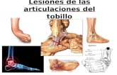 Lesiones de las articulaciones del tobillo. ¿Qué son las lesiones articulares? La tibia y el peroné hace dos movimientos: flexión dorsal y flexión plantar.