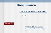 ACIDOS NUCLEICOS Bioquímica  Dra. Silvia Varas bioquimica.enfermeria.unsl@gmail.com Tema:5 2015.