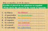 Escribe el plural de las palabras en español (Write down the plural of the words in Spanish) 1. la blusa ______________________ 2. el pantalón ______________________.