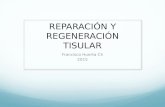 REPARACIÓN Y REGENERACIÓN TISULAR Francisco Huerta Ch 2015.