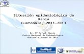Situación epidemiológica de Rabia Guatemala, 2011-2013 Dr. MV Rafael Ciraiz Centro Nacional de Epidemiología Guatemala, enero de 2014.