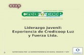 Liderazgo Juvenil: Experiencia de Credicoop Luz y Fuerza Ltda. Lucía Ghiorzo Suazo Presidenta del Consejo de Administración.