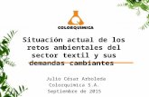 Situación actual de los retos ambientales del sector textil y sus demandas cambiantes Julio César Arboleda Colorquímica S.A. Septiembre de 2015.