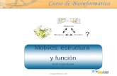 © Copyright Ebiointel,SL 2006 Motivos, estructura y función Prof. Inma Ponte Motivos, estructura y función Prof. Inma Ponte.