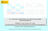 EL CATÁLOGO NACIONAL DE CUALIFICACIONES PROFESIONALES MADRID, 14 de octubre de 2003 (La formación como factor generador de entornos de progreso) EL CATÁLOGO.