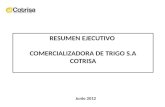 Junio 2012 RESUMEN EJECUTIVO COMERCIALIZADORA DE TRIGO S.A COTRISA.