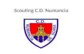 Scouting C.D. Numancia. Principales características de su modelo de juego Fase ofensiva: Su primer principio ofensivo es ubicar balones profundos sobre.