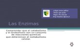 Las Enzimas Comprender que el catabolismo y el anabolismo son un conjunto de reacciones químicas que determinan el metabolismo celular. Colegio Santa Sabina.