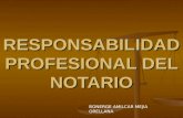 RESPONSABILIDAD PROFESIONAL DEL NOTARIO BONERGE AMILCAR MEJIA ORELLANA.
