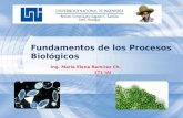 Fundamentos de los Procesos Biológicos Ing. María Elena Ramírez Ch. 1T1 IAI.
