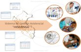 Sistema de Gestión Asistencial “HISMINSA” Ministerio de Salud - 2014 Oficina de Estadística e Informática.