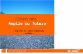 ◎  FiberHome Amplíe su futuro Experto en comunicaciones ópticas.