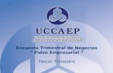 Encuesta Trimestral de Negocios “ Pulso Empresarial ” Tercer Trimestre.