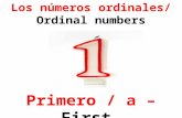 Los números ordinales/ Ordinal numbers Primero / a – First.
