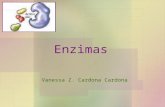 Enzimas Vanessa Z. Cardona Cardona. Objetivos Explicar que es una enzima y como estas actúan en reacciones intracelulares. Identificar factores que afectan.