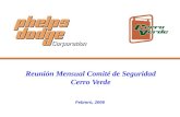 Reunión Mensual Comité de Seguridad Cerro Verde Febrero, 2006.
