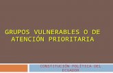 GRUPOS VULNERABLES O DE ATENCIÓN PRIORITARIA CONSTITUCIÓN POLÍTICA DEL ECUADOR.